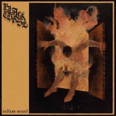 BLACK CURSE - Endless Wound (2020) LP